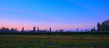 HDR2.jpg