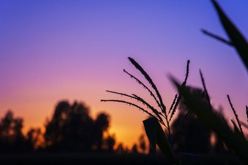 _DSC8439.jpg