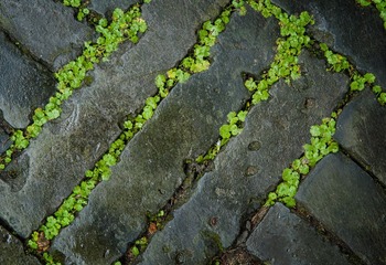 _DSC10648.jpg