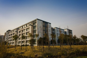 _DSC12009.jpg