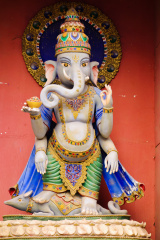 DSC00412-1