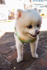 DSC00019-编辑-1