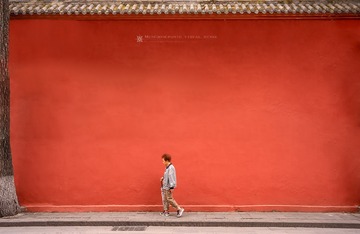 漫步红墙根
