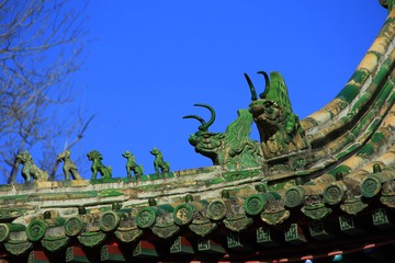 在树上