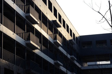 DSC_1391.JPG