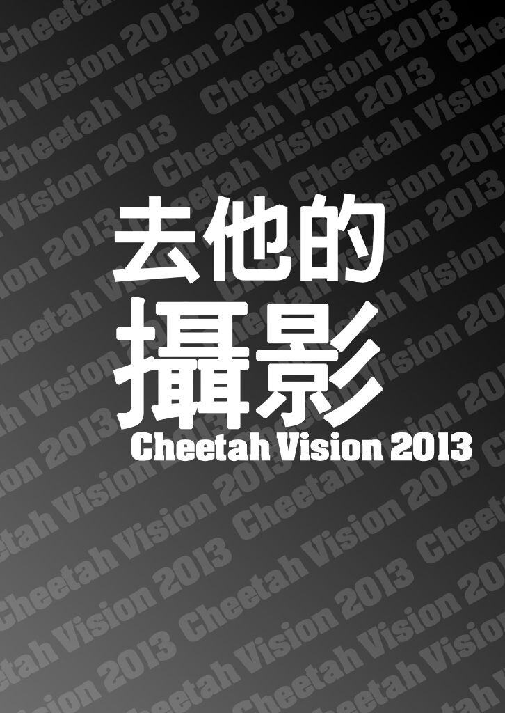 2013<br />
