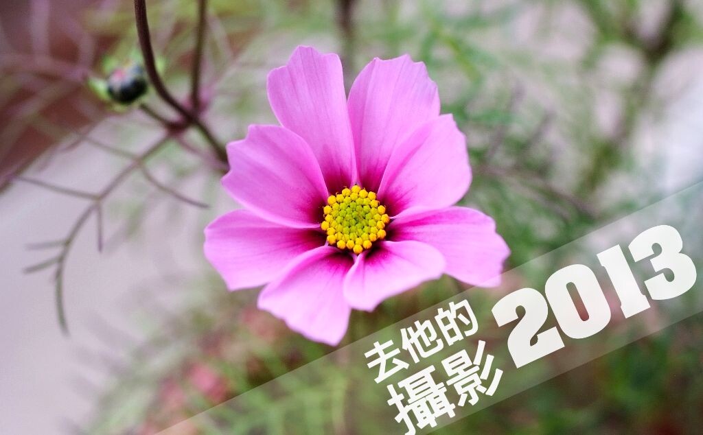 DSCF7726<br />
