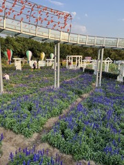 AA2D24A8-428A-4728-A055-81504BD7F7B7/L0/001