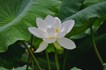 110565