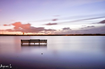 _DSC2112.jpg