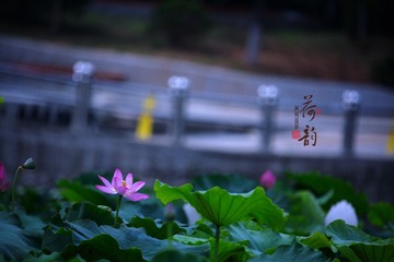 3F3B33D0-5DAE-40B8-82C0-B994287276F1/L0/001