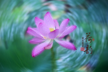 613325A5-4CEE-4855-BF6B-A919F292E680/L0/001