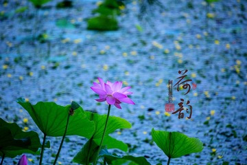 CC3065FF-53A0-4EB1-83BC-686195643C92/L0/001