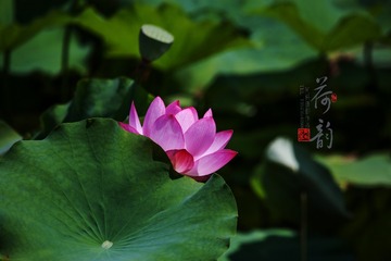 B91C8047-1A74-4612-9C9C-5DBF7F1131D5/L0/001