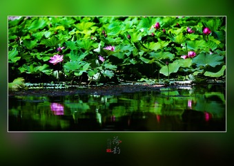 CCD41BC8-14EE-40FA-A790-8C90A688EE82/L0/001