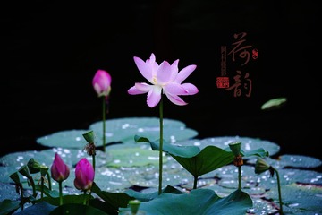 DEF02C72-E907-4E09-921C-B9A13CAF654B/L0/001