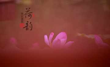 14D73052-B626-433B-92AC-80B6EDD1C012/L0/001