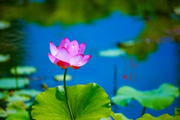 E6BD8359-85CD-41E6-A5BC-FA8E246B6DF5/L0/001