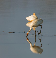 496189
