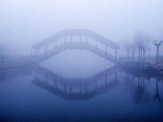 DSCF6242a