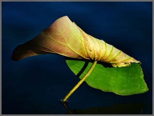 DSCF3381.jpg