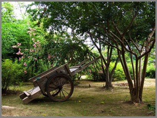 DSCF3399.jpg