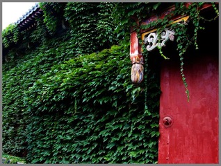DSCF3441.jpg