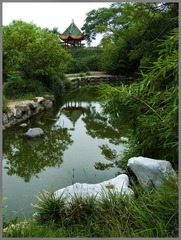 DSCF3397.jpg