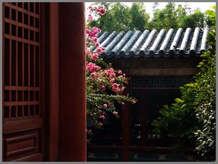 DSCF3524.jpg