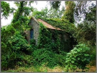 DSCF3601.jpg