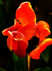 DSCF4421.jpg