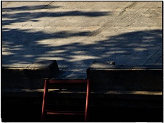 DSCF4679.jpg