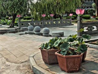DSCF4878c_HZP.jpg