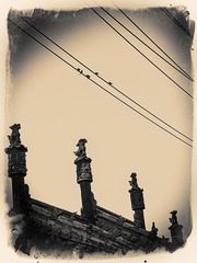 DSCF5165a