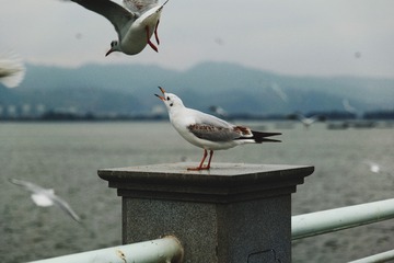 0C4B747F-0AB5-42CB-8774-EBA61FE5CA1D/L0/001