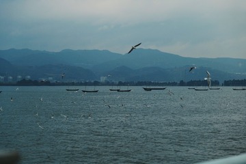 A5B17871-DB51-4708-B9AC-0D331282A419/L0/001