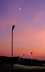 1FD44DD0-E98C-464D-8470-6683ECA86F2F/L0/001
