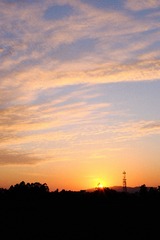 6F0D1E7B-977B-4A3A-906D-5C8378CACD5D/L0/001