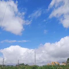 3055411