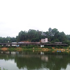 3055912