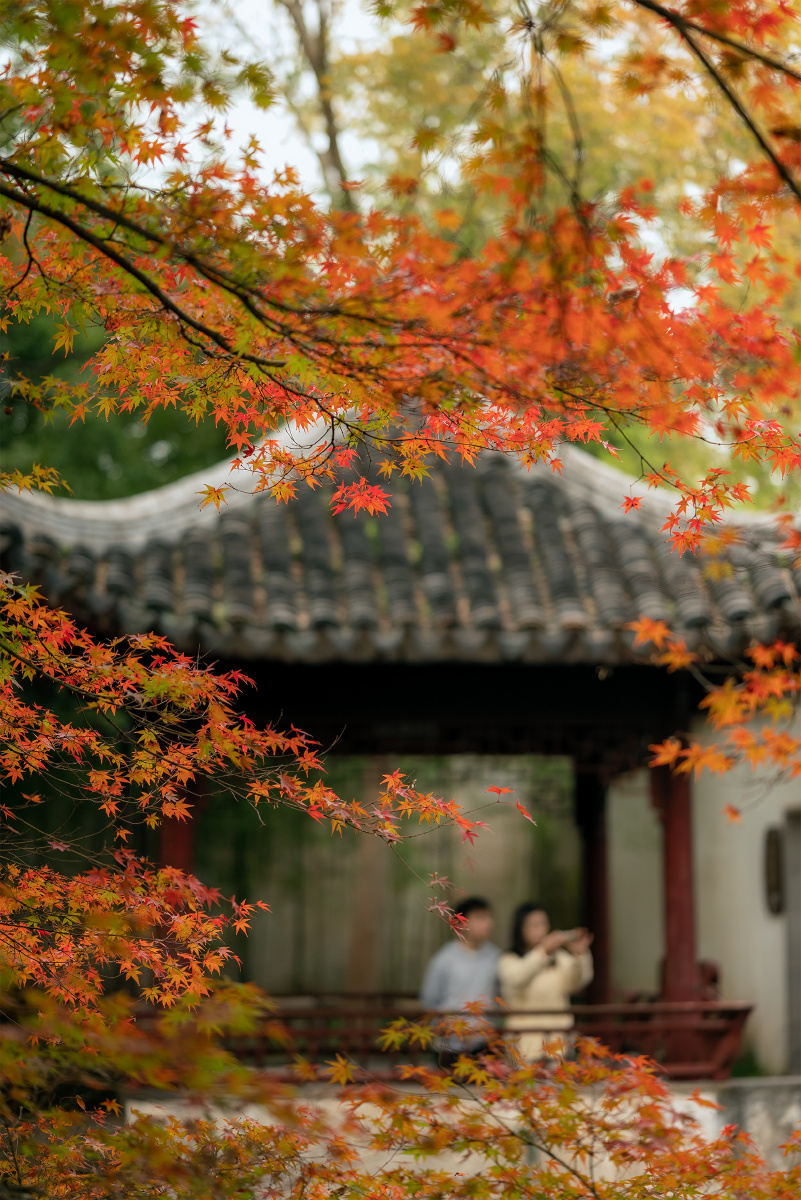 苏州园林秋景拙政园