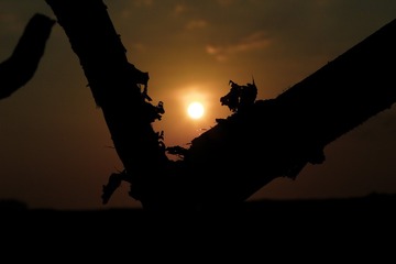 1CC19102-E70A-4ABF-B913-C4243A5F15E5/L0/001