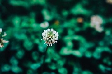 39F15849-95C7-45B8-AFFD-C05BF4293FE3/L0/001