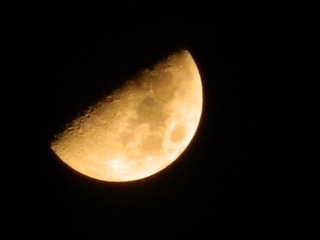 1000035120