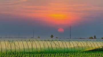 14EC6404-E81C-4927-B684-ED8D5E917AAC/L0/001