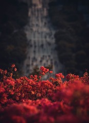 1000024542