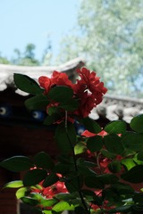 10B74049-B8CF-4641-8403-C6DF95A609EC/L0/001