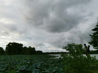 299570