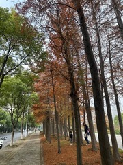 101C4D42-570C-4D7C-BF7B-B655E8C8798A/L0/001