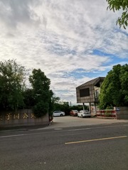299563